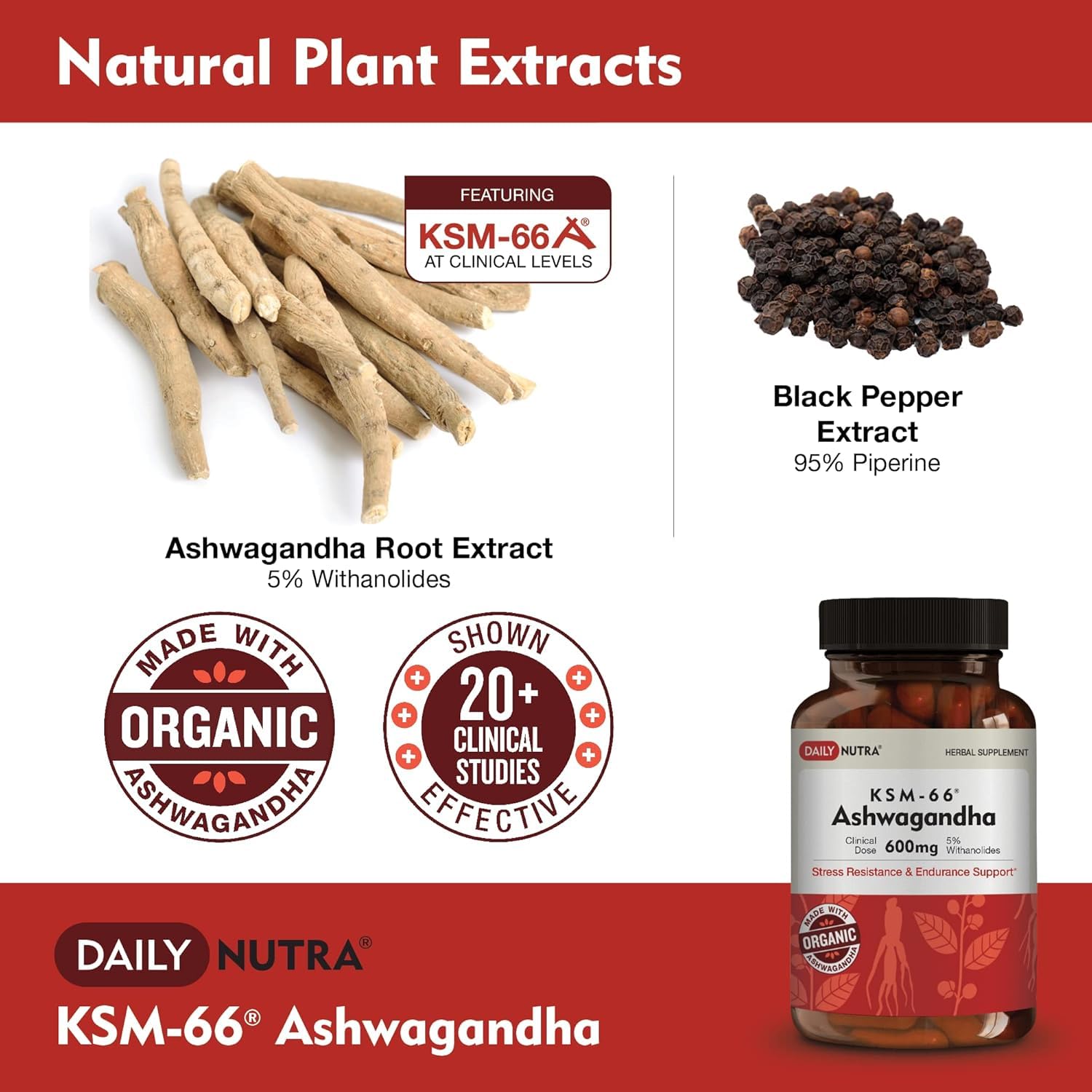 DailyNutra KSM-66 Ashwagandha Capsules 600mg bottle with label