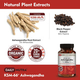 DailyNutra KSM-66 Ashwagandha Capsules 600mg bottle with label
