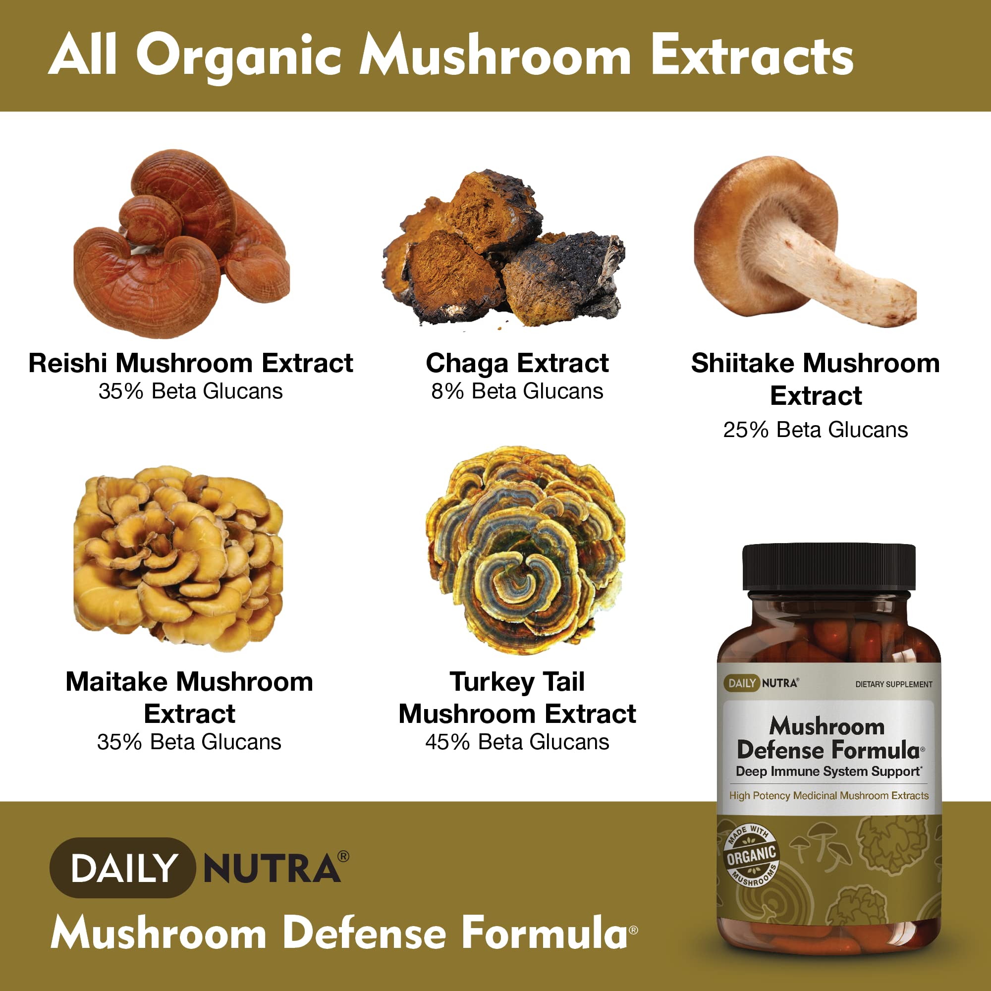 DailyNutra Mushroom Blend Supplement back view with ingredient list