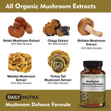 DailyNutra Mushroom Blend Supplement back view with ingredient list