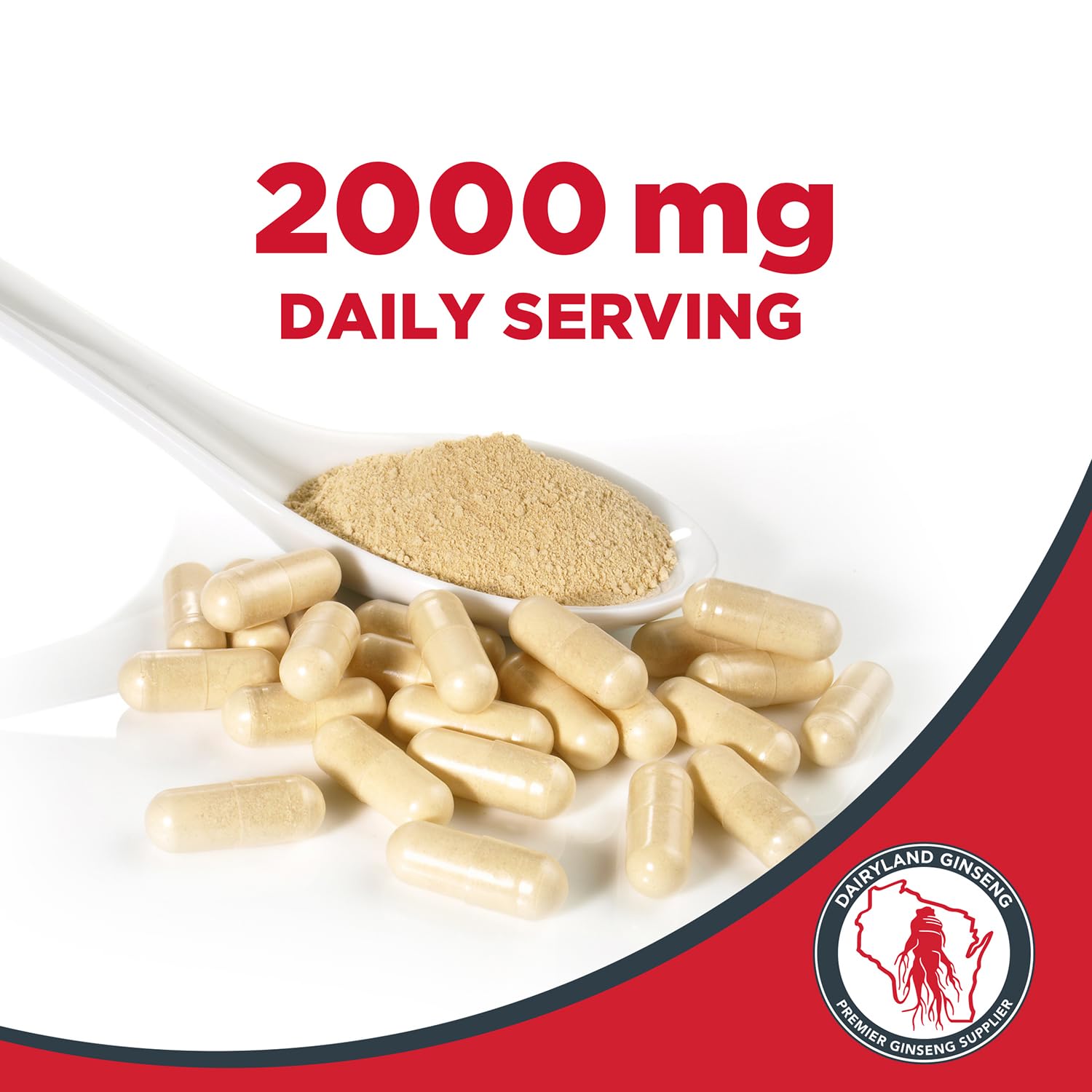 Dairyland Management LLC American Ginseng Capsules 500mg back view with ingredient details