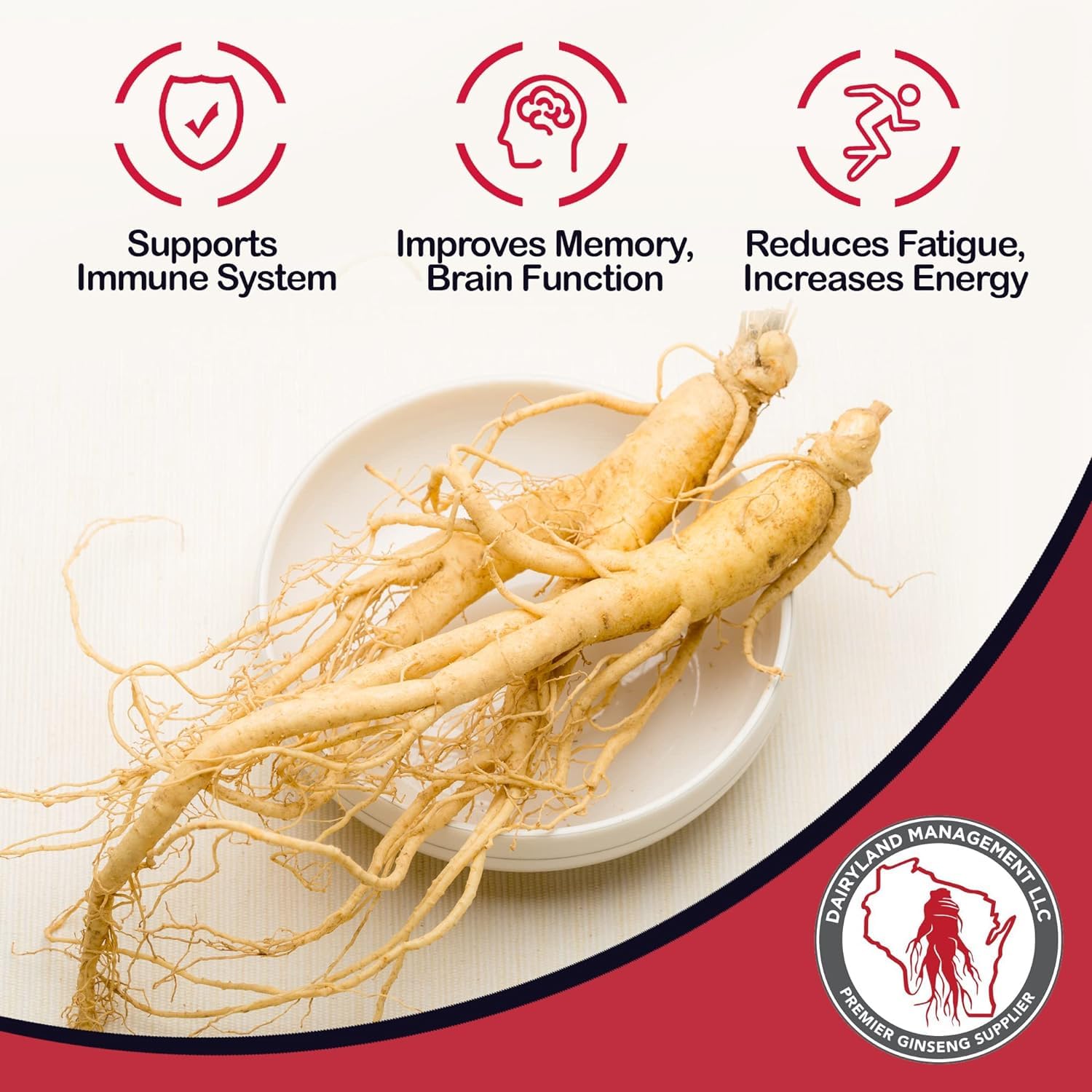 Dairyland Management LLC American Ginseng Capsules 500mg opened bottle with capsules