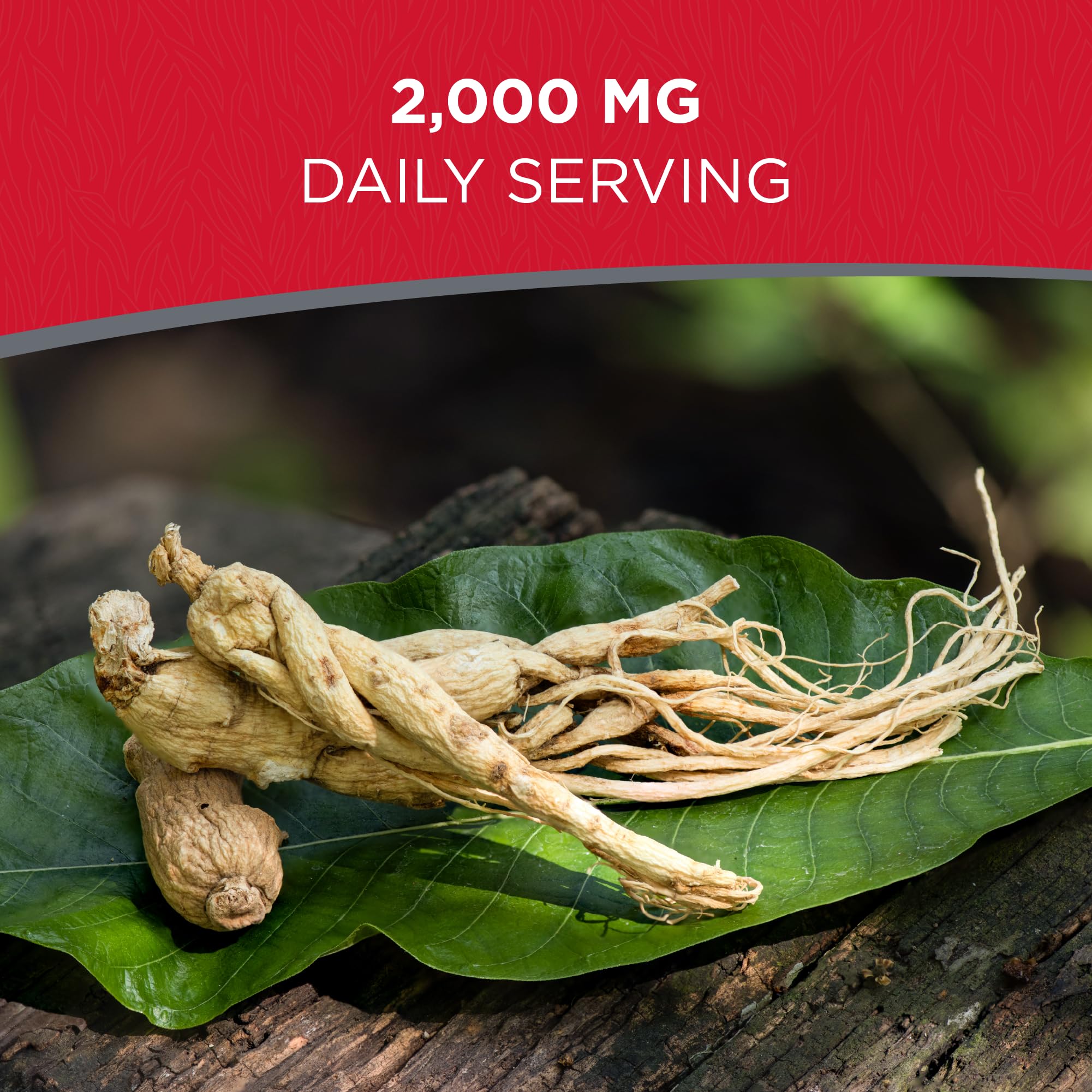 Dairyland Management LLC American Ginseng Root in a bowl with herbs