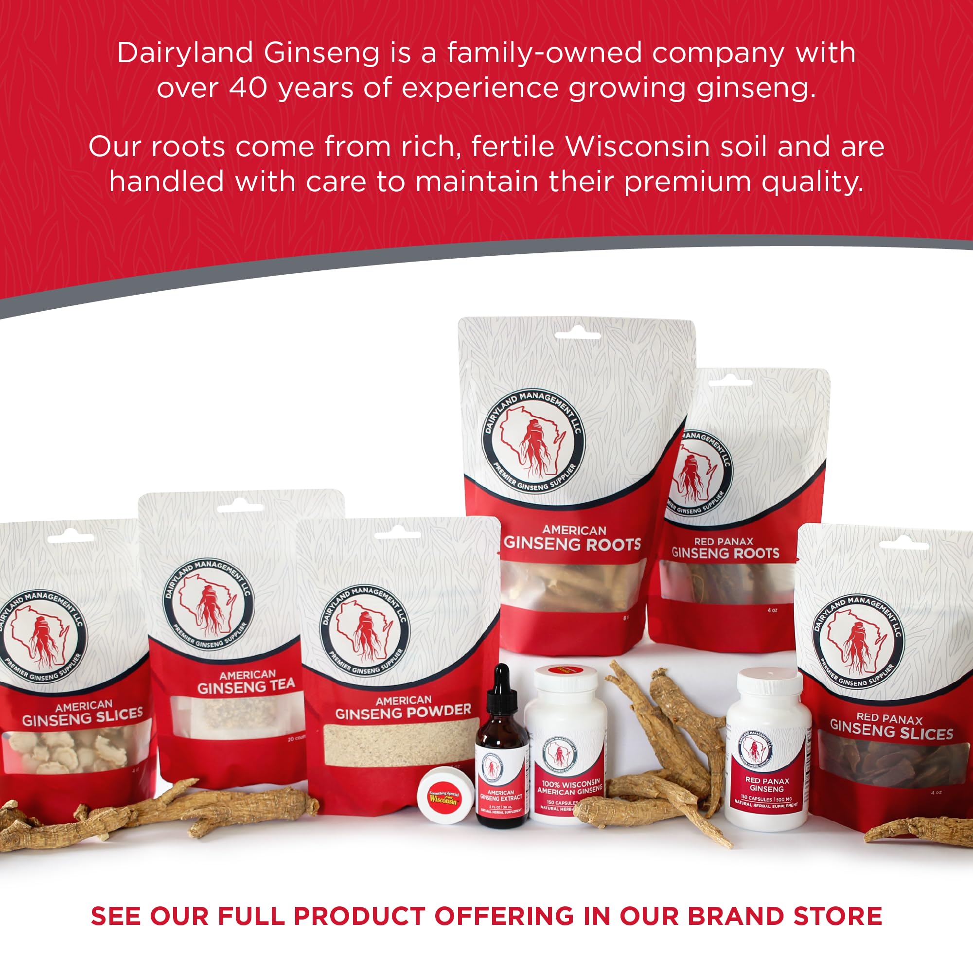 Dairyland Management LLC Ginseng Root Slices on a wooden table