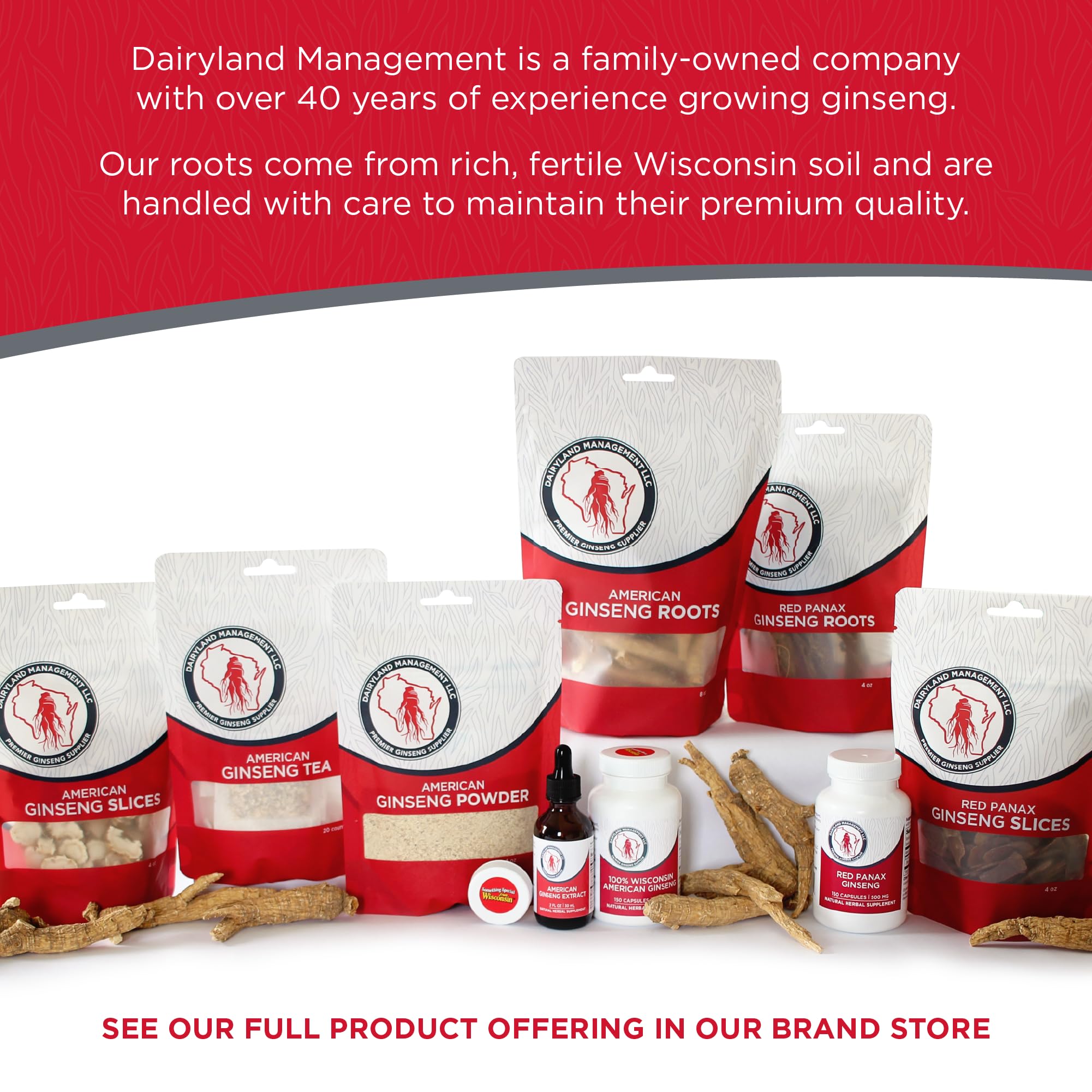 Dairyland Management LLC Premium Korean Ginseng Powder lifestyle scene