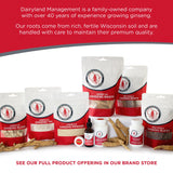 Dairyland Management LLC Premium Korean Ginseng Powder lifestyle scene