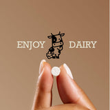DairyPill Key Pod Max pill holder with DairyPills