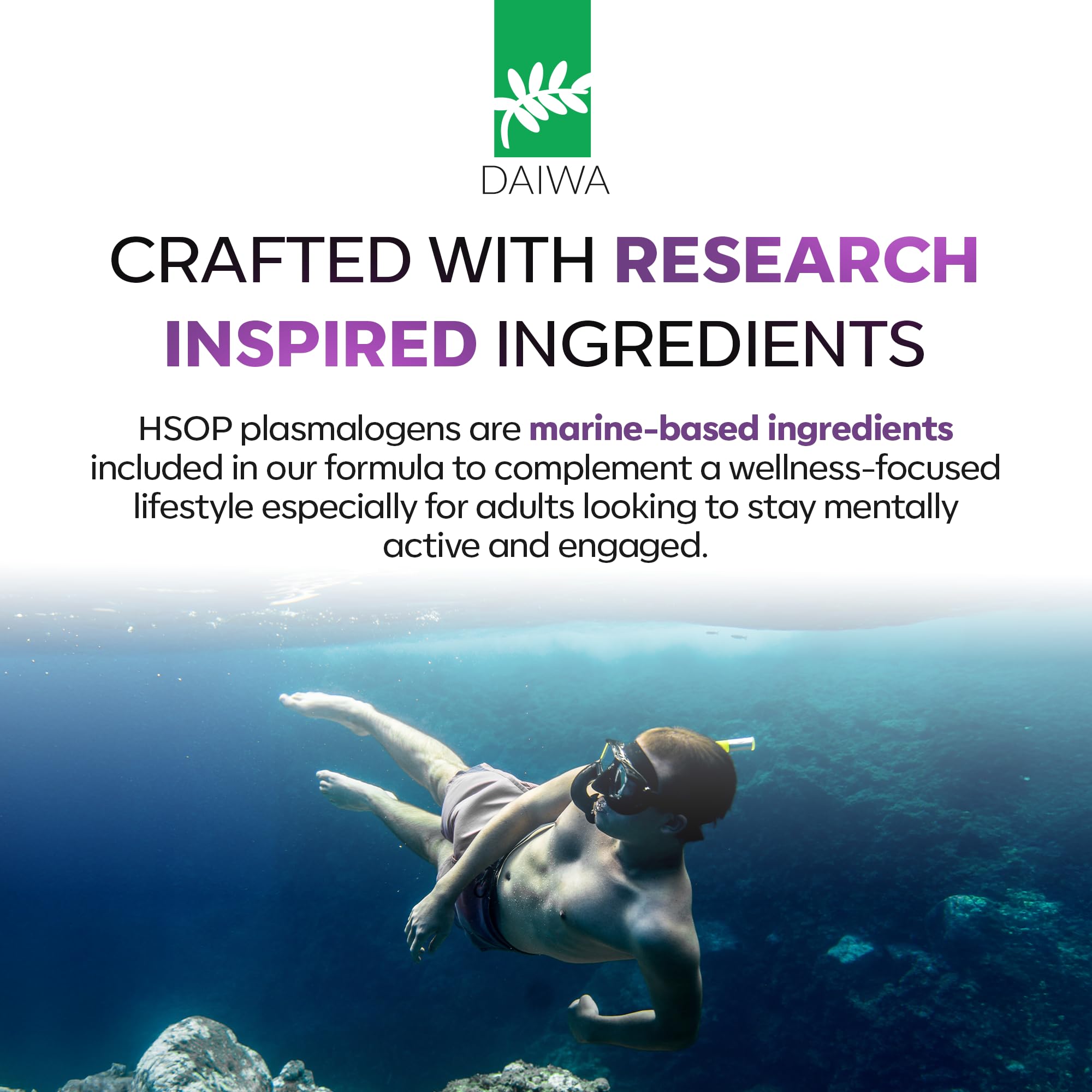 Daiwa Health Development Omega-3 Supplement ingredients list