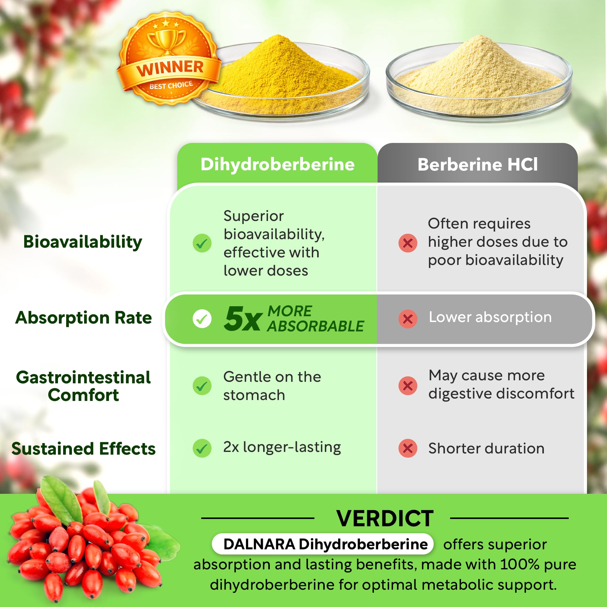 Dalnara Dihydroberberine Capsules 250mg with Ceylon Cinnamon and Turmeric