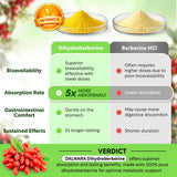 Dalnara Dihydroberberine Capsules 250mg with Ceylon Cinnamon and Turmeric