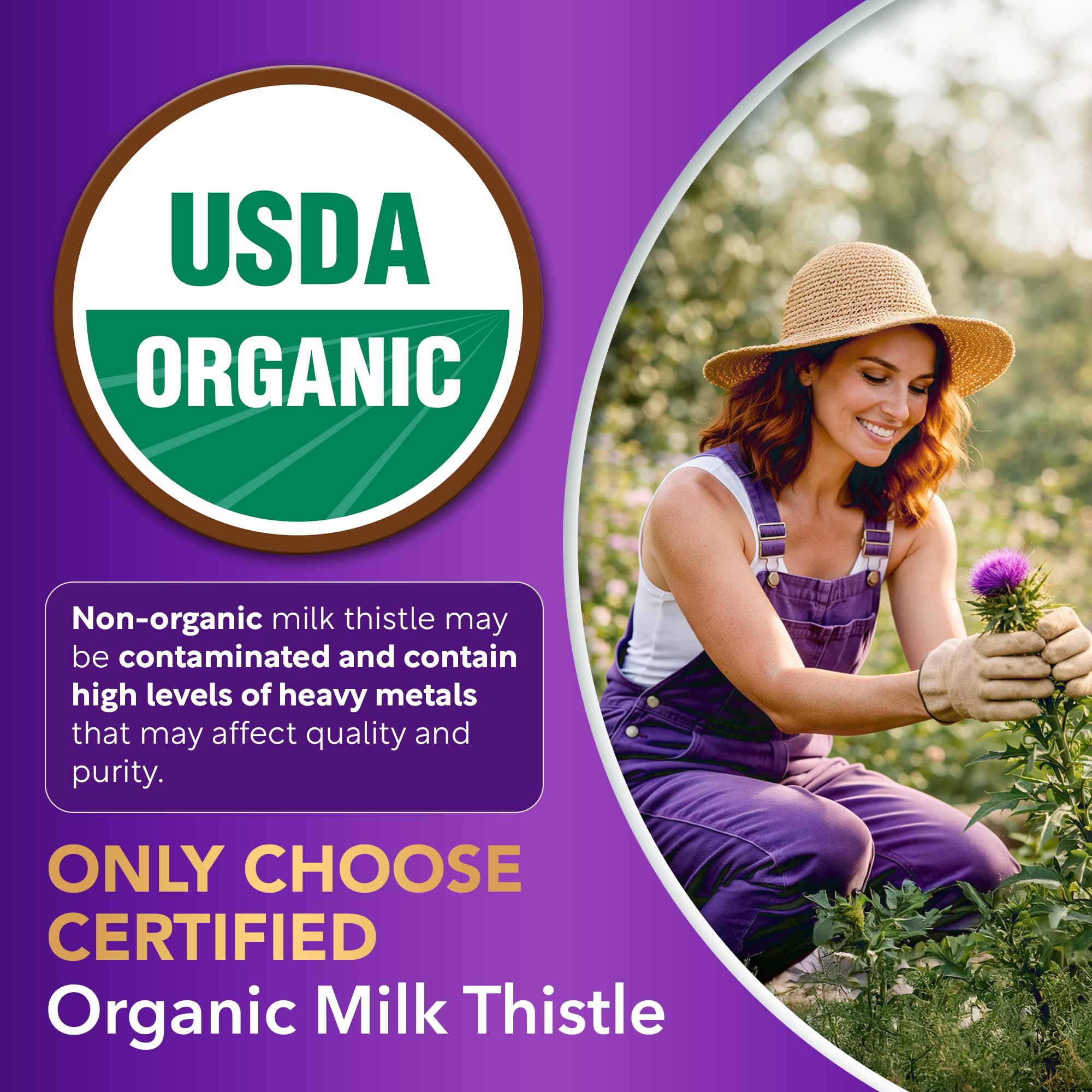 Dalnara Milk Thistle Capsules 80% Silymarin ingredients list