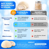 Dalnara Organic Lion's Mane Mushroom Extract capsules on a table