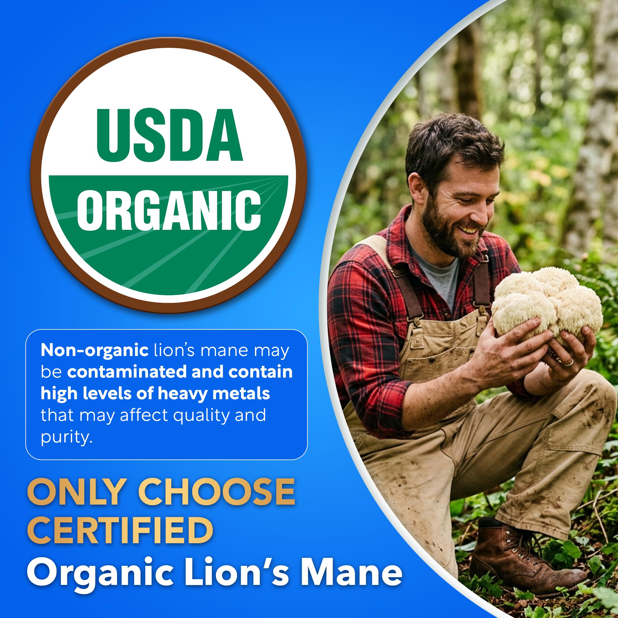 Dalnara Organic Lion's Mane Mushroom Extract ingredients list
