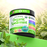 Dalnara Organic Spearmint Capsules 1200mg lifestyle scene