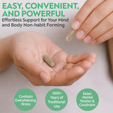DAO Labs Free & Easy Wander supplement ingredients list