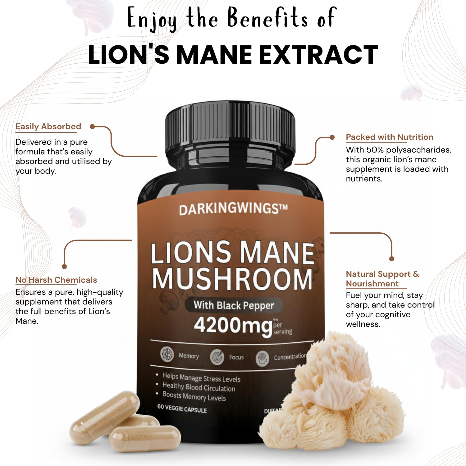 Darkingwings Lion’s Mane Mushroom Supplement powder close-up