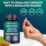 Darkingwings Organic Sea Moss Capsules with ingredients displayed