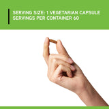 DAVINCI Grapefruit Seed Extract 400mg back view with ingredient list