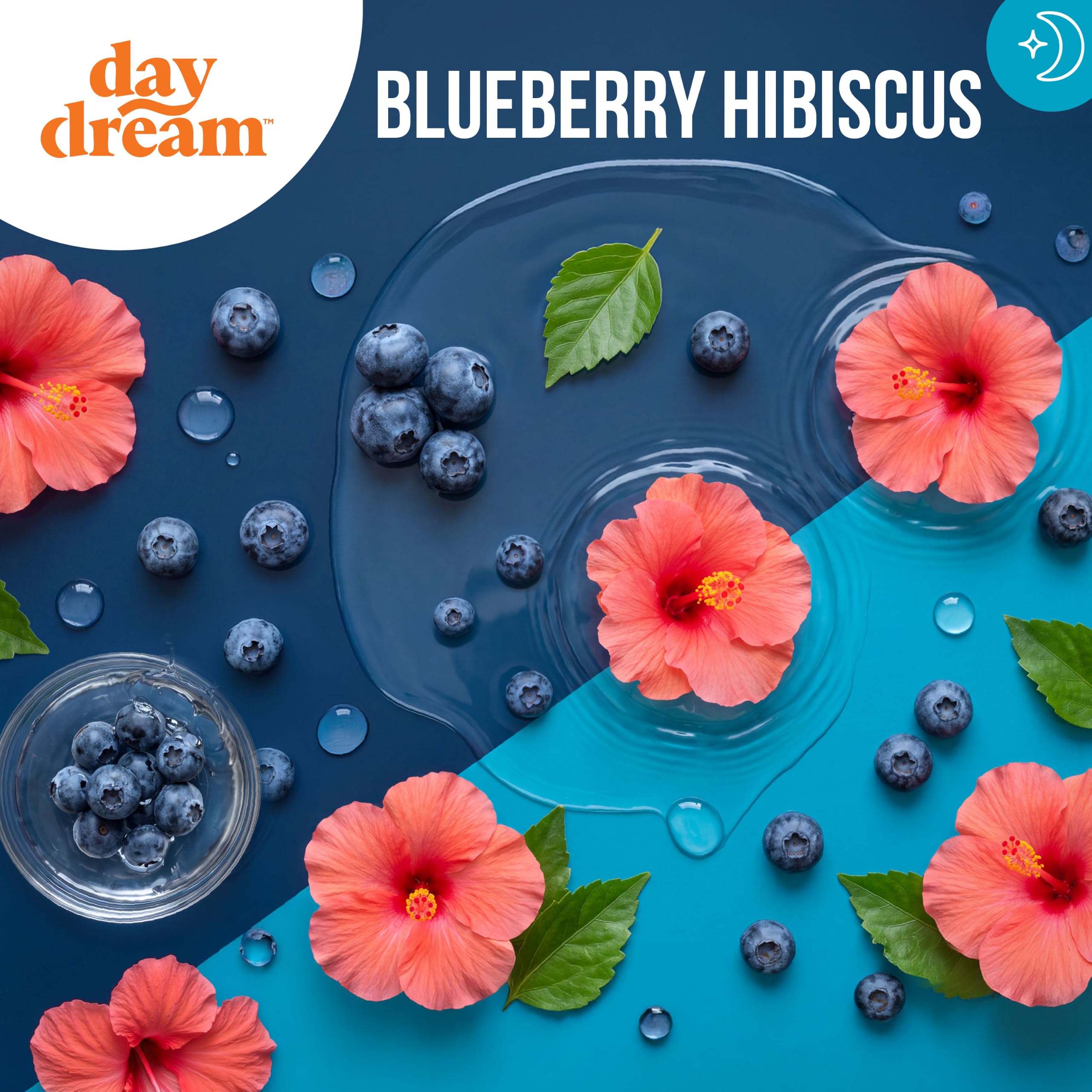 Day Dream PM daily wellness Nighttime Drink Mix Blueberry Hibiscus ingredients list