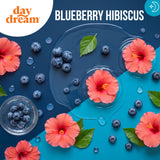 Day Dream PM daily wellness Nighttime Drink Mix Blueberry Hibiscus ingredients list