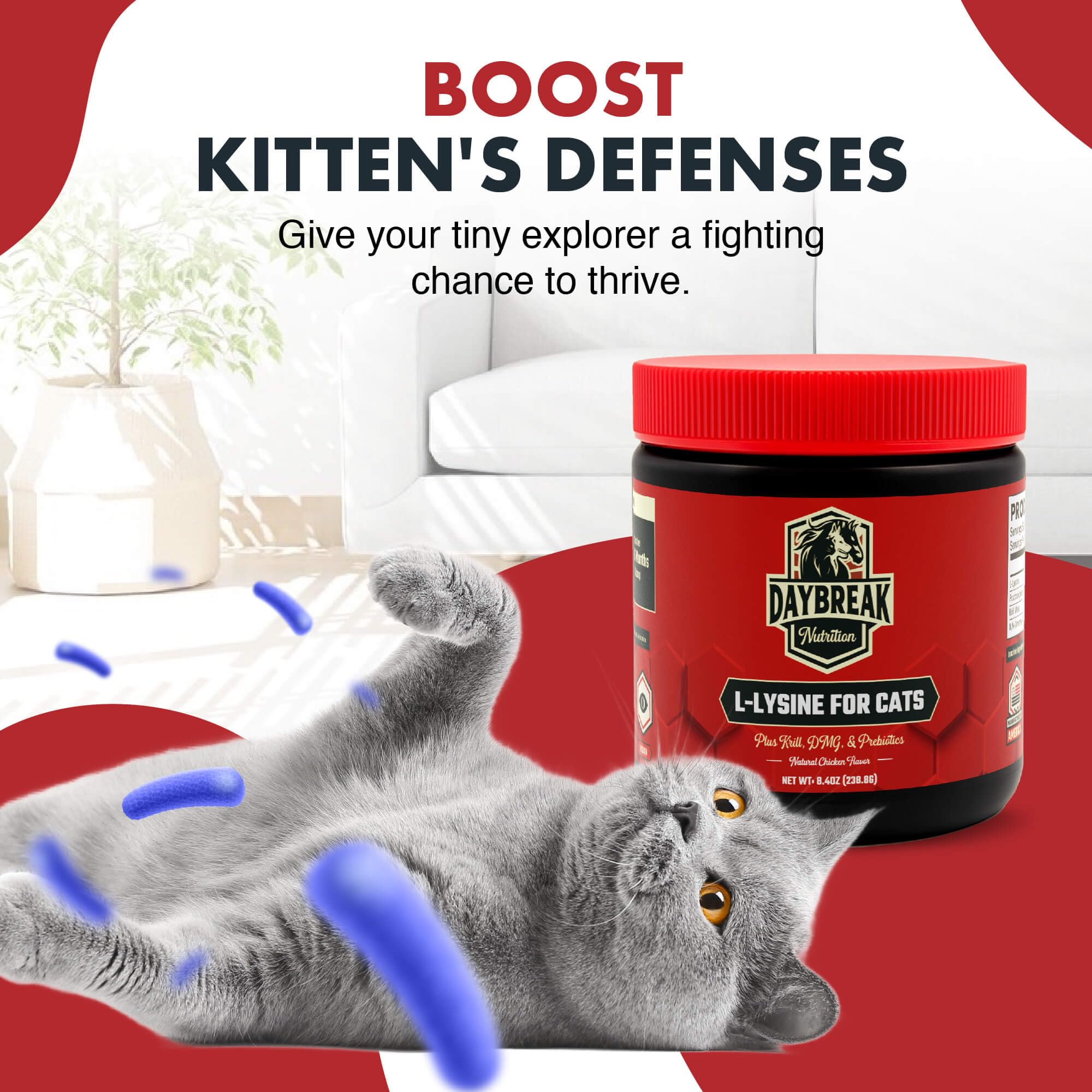 Daybreak Nutrition L-Lysine for Cats 900mg container with scoop