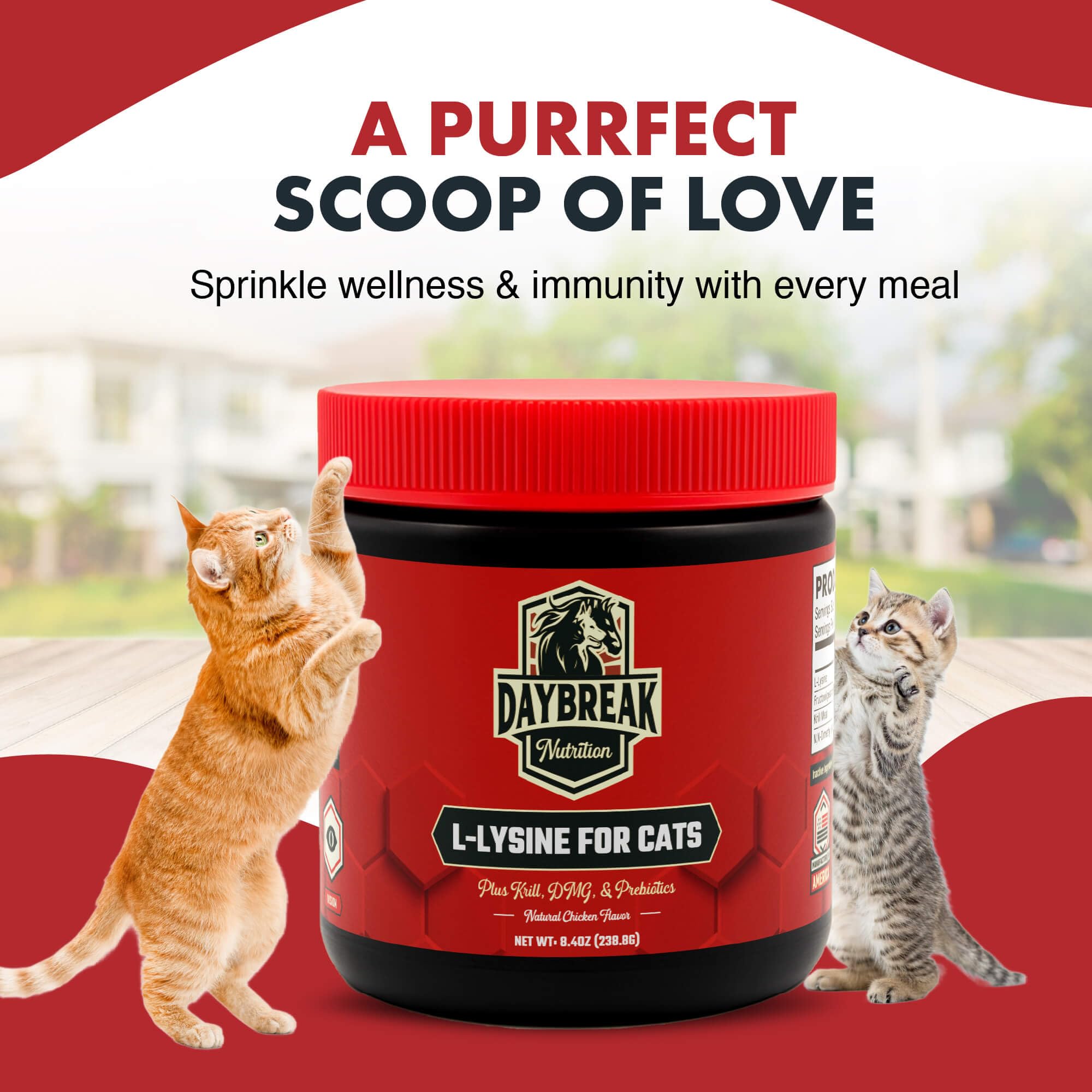 Daybreak Nutrition L-Lysine for Cats 900mg lifestyle scene with cat