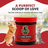 Daybreak Nutrition L-Lysine for Cats 900mg lifestyle scene with cat