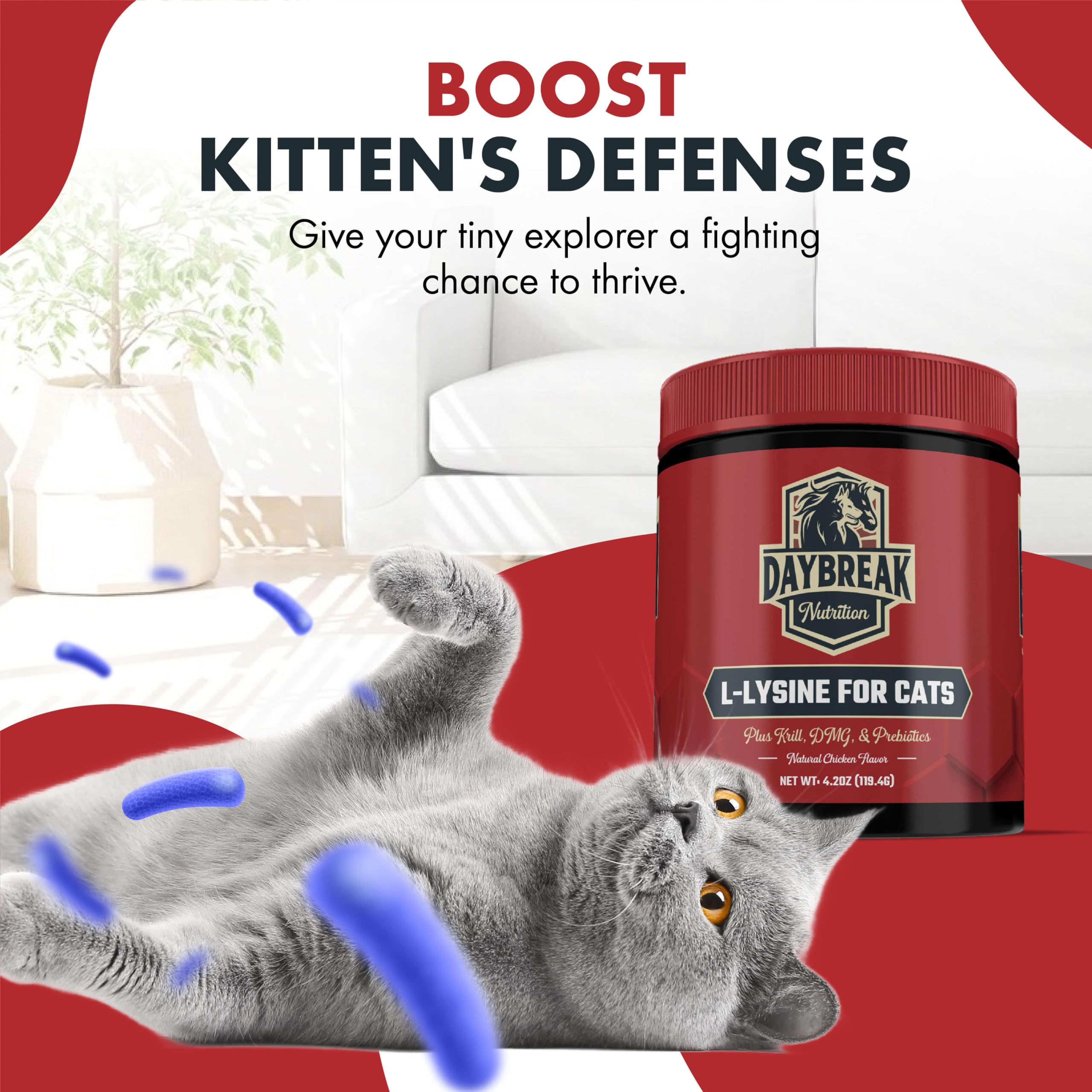 Daybreak Nutrition L-Lysine Powder for Cats 900mg side view