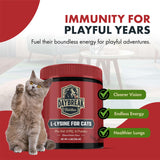 Daybreak Nutrition L-Lysine Powder for Cats nutritional information