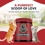Daybreak Nutrition L-Lysine Powder for Cats on cat food