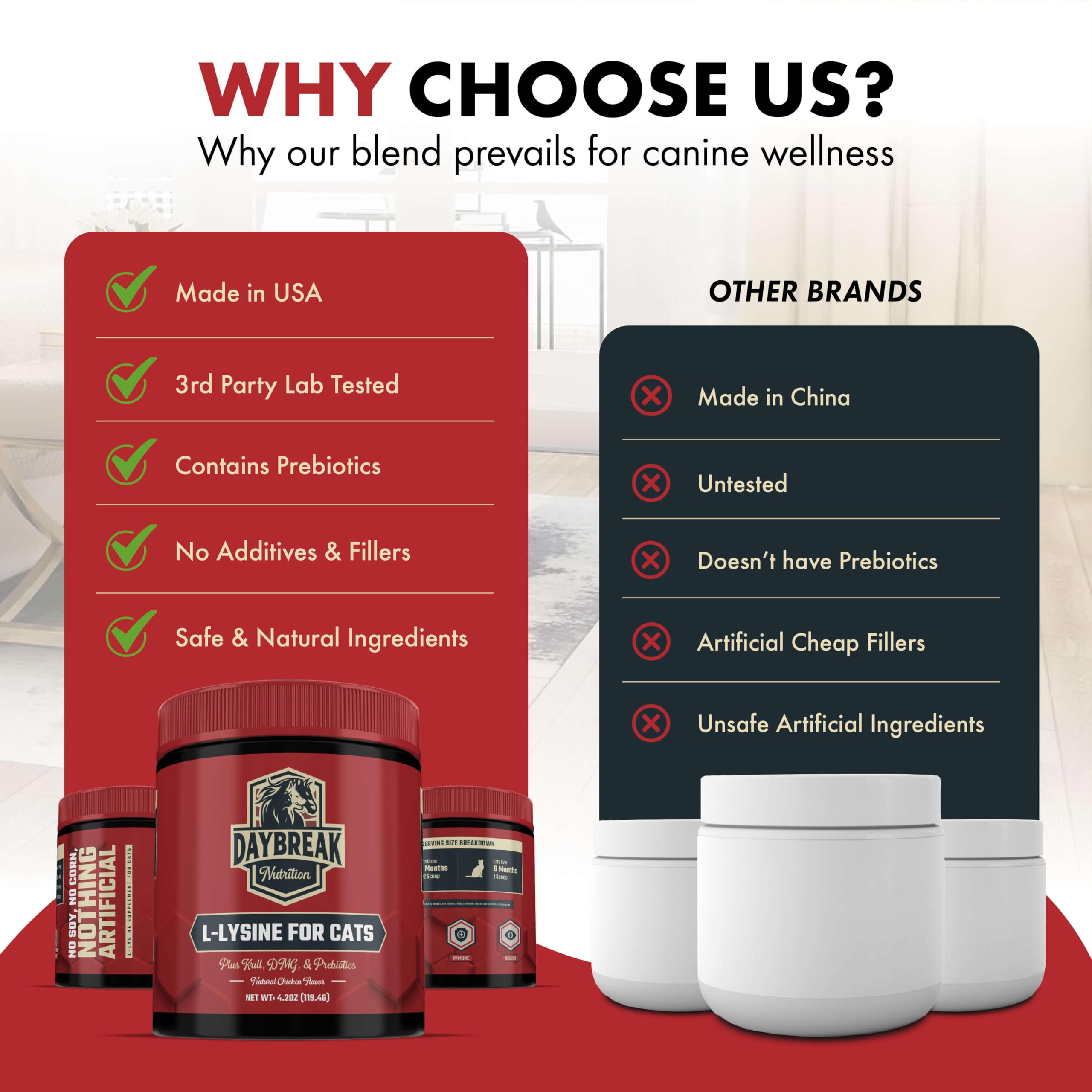 Daybreak Nutrition L-Lysine Powder for Cats with measuring scoop