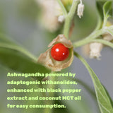 DEAL SUPPLEMENT Ashwagandha Softgels with serving suggestion