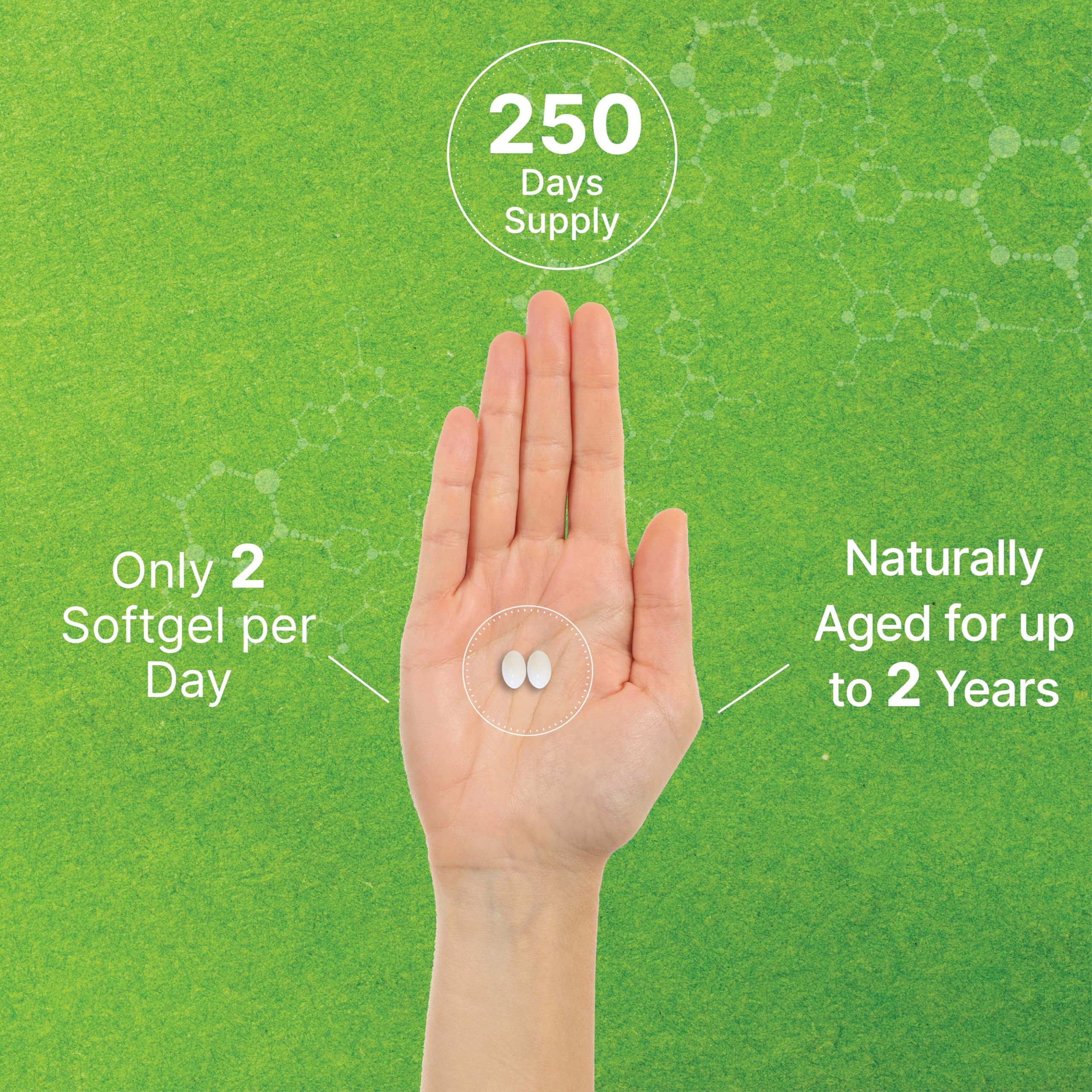 DEAL SUPPLEMENT Garlic Softgels in hand
