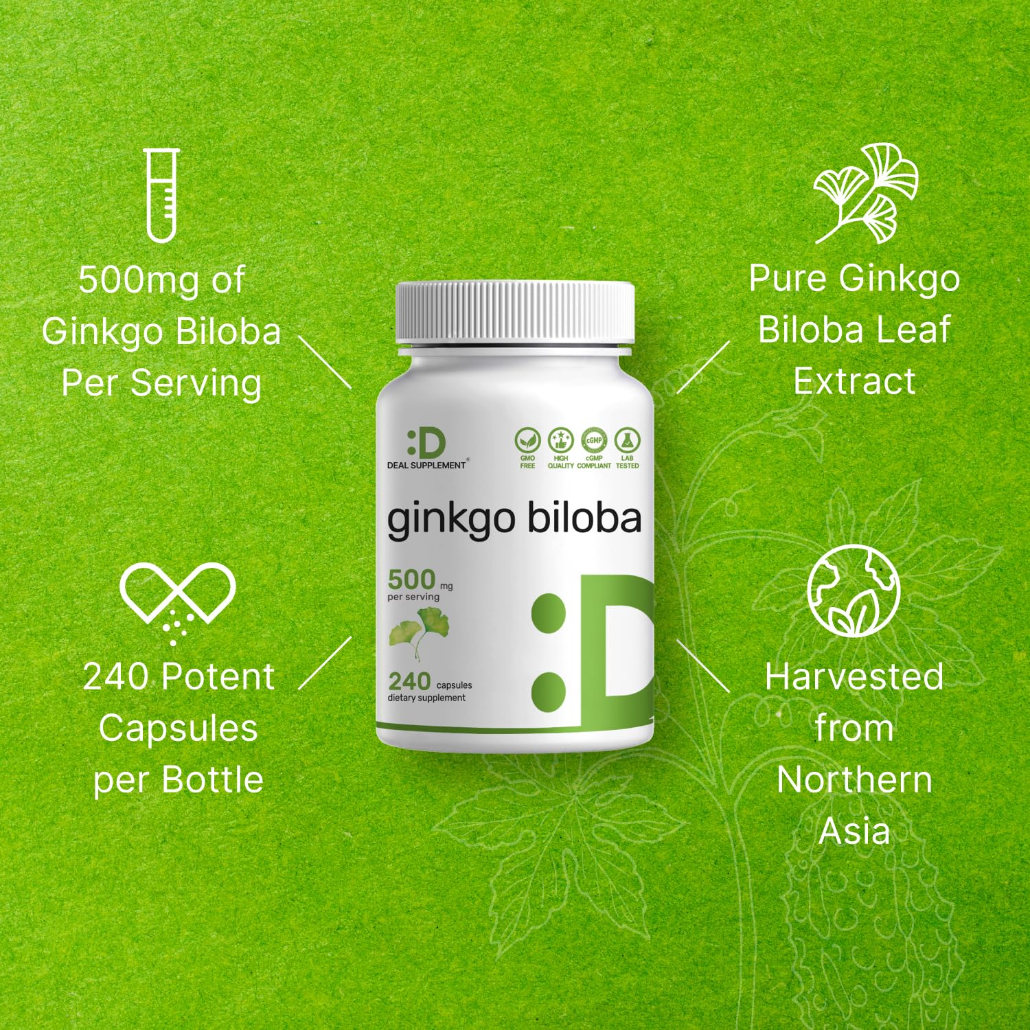 DEAL SUPPLEMENT Ginkgo Biloba Extract Capsules ingredients list