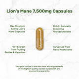 DEAL SUPPLEMENT Lion's Mane Mushroom Capsules side view