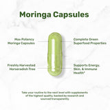 DEAL SUPPLEMENT Moringa Capsules 240 Capsules bottle with label