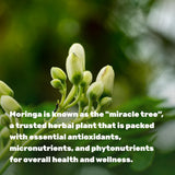 DEAL SUPPLEMENT Moringa Capsules 240 Capsules open bottle