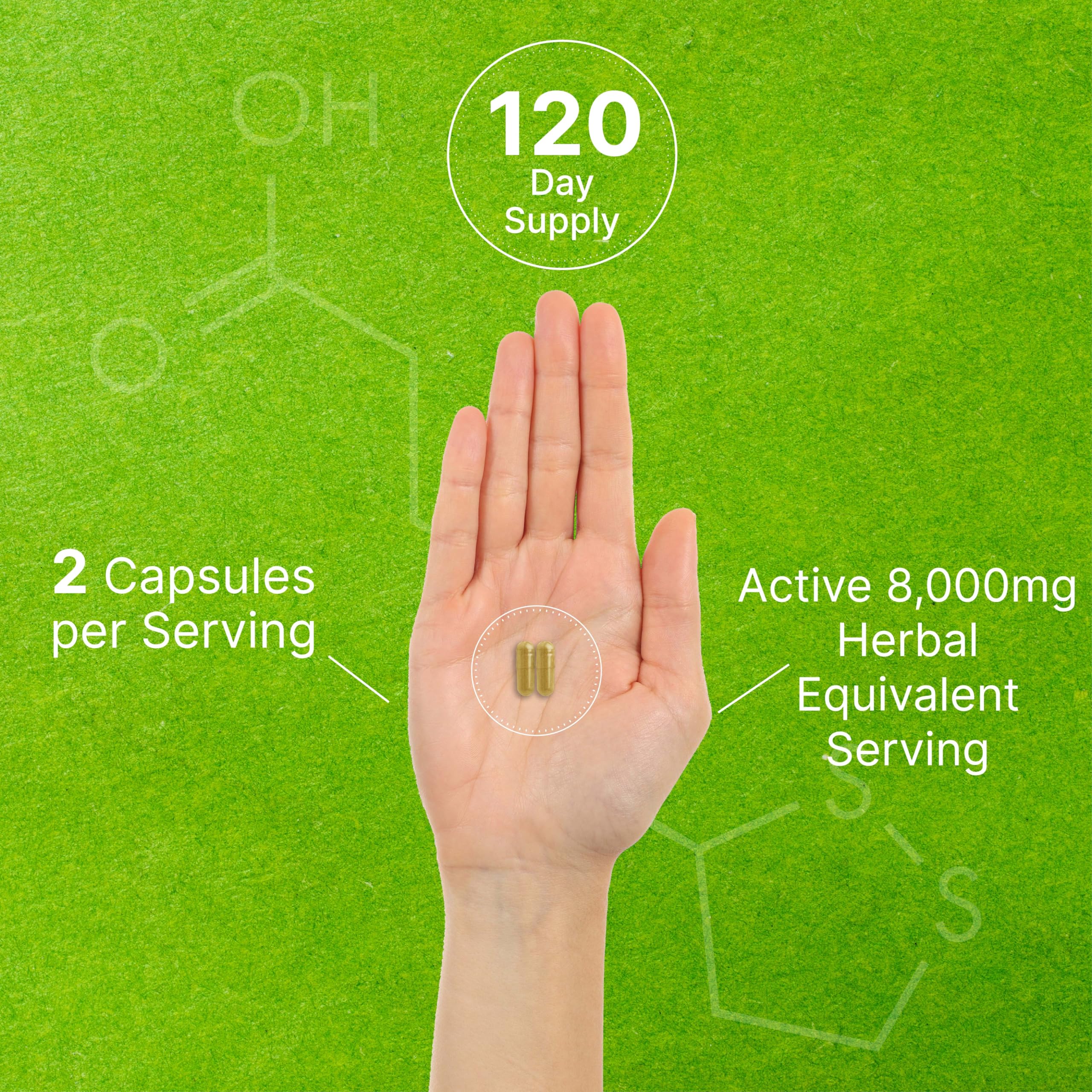 DEAL SUPPLEMENT Organic Mushroom 10-in-1 Blend 240 capsules on a wooden surface