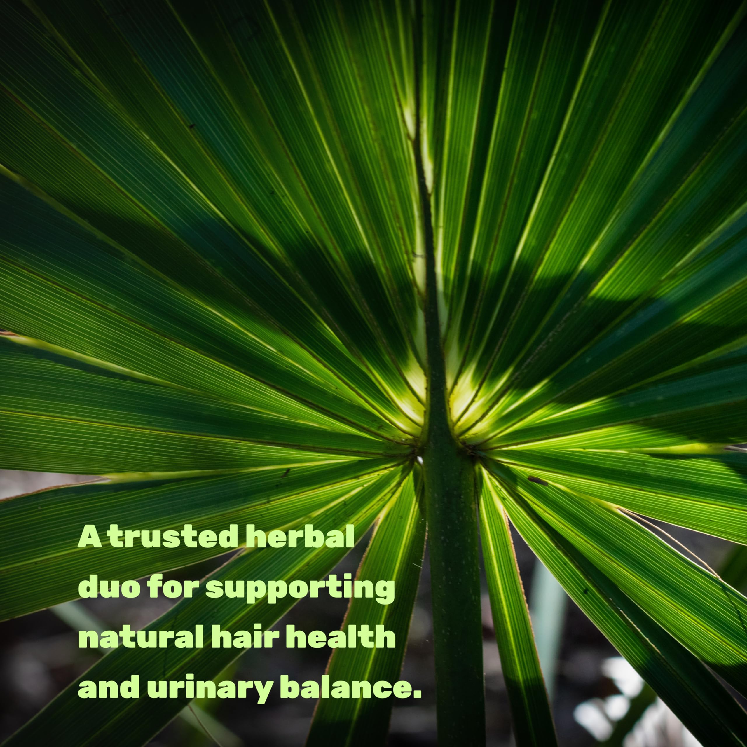 DEAL SUPPLEMENT Saw Palmetto Complex ingredients list