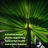 DEAL SUPPLEMENT Saw Palmetto Complex ingredients list