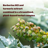 DEAL SUPPLEMENT Turmeric Berberine HCl bottle with label