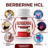 DECENT NATURE Berberine HCL 1800mg capsules bottle with label