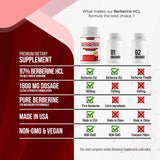 DECENT NATURE Berberine HCL capsules with measuring spoon