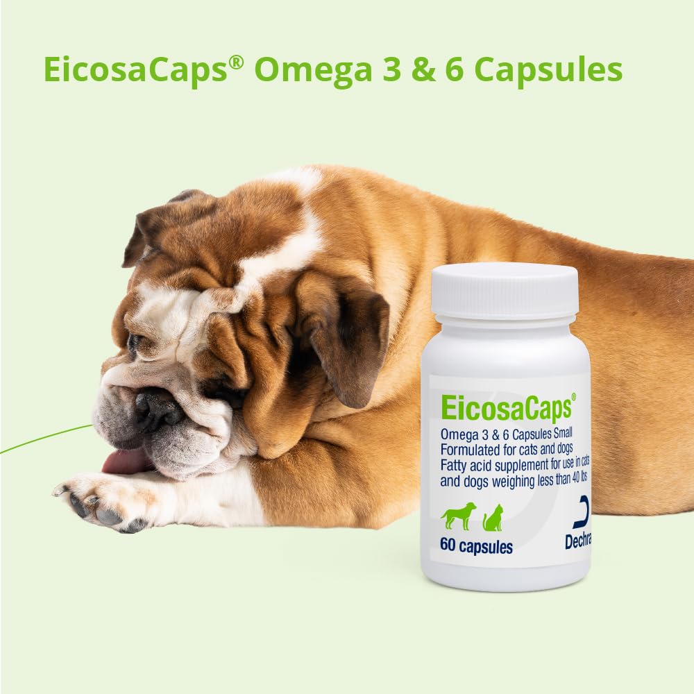 Dechra EicosaCap Omega 3 & 6 Capsules on a pet care shelf