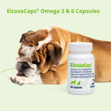 Dechra EicosaCap Omega 3 & 6 Capsules on a pet care shelf