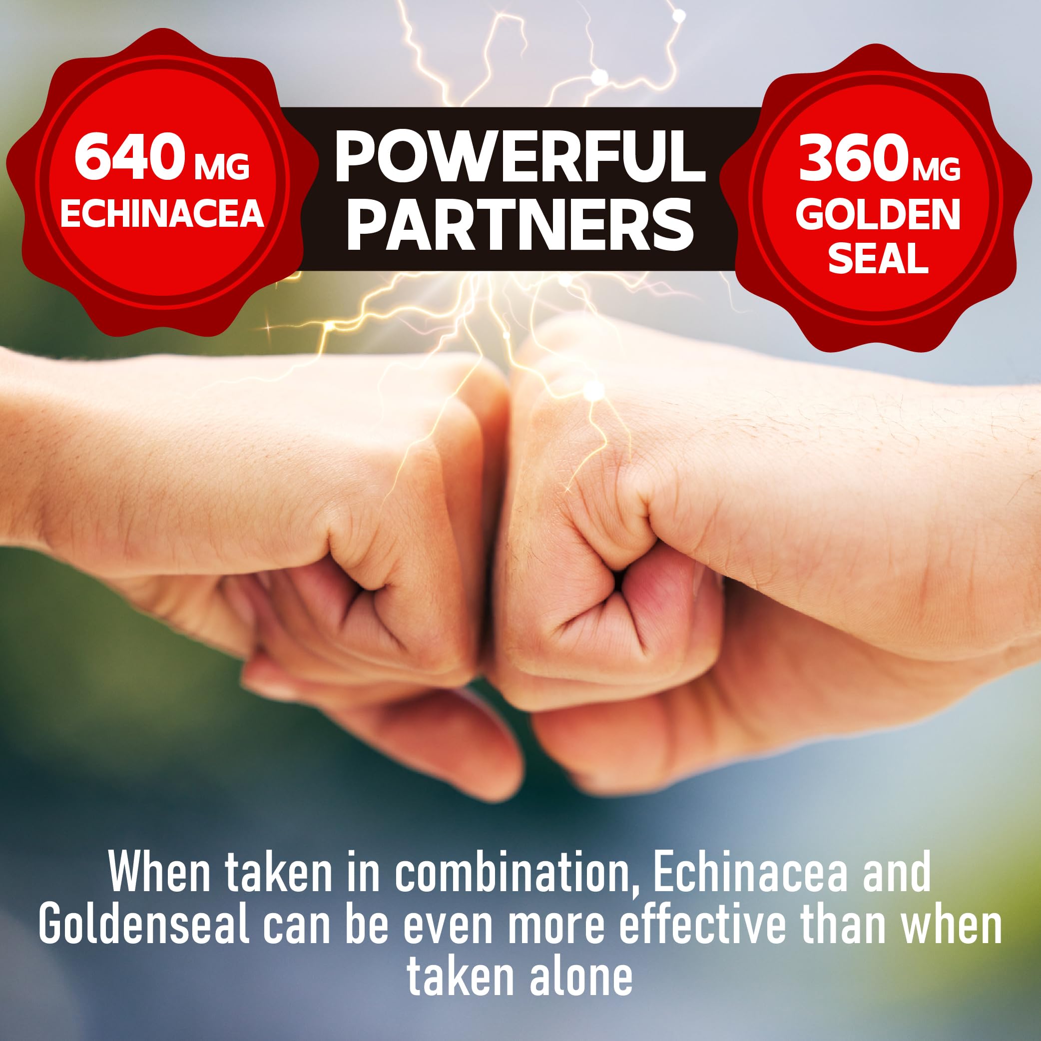 DEDICAD Echinacea Goldenseal Supplement 1000mg ingredients list