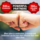 DEDICAD Echinacea Goldenseal Supplement 1000mg ingredients list