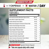 DEDICAD Wormwood Supplement bottle side view showing capsule count