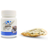 Deep Blue Health Oyster Capsules 300mg with nutritional information