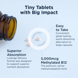 Designs for Health B12 Lozenge nutritional information